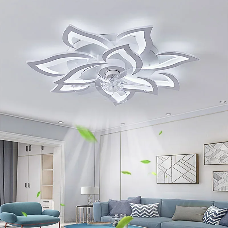 light with ceiling fan