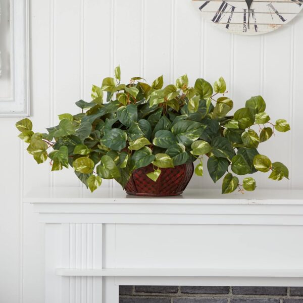 Silver Satin pothos