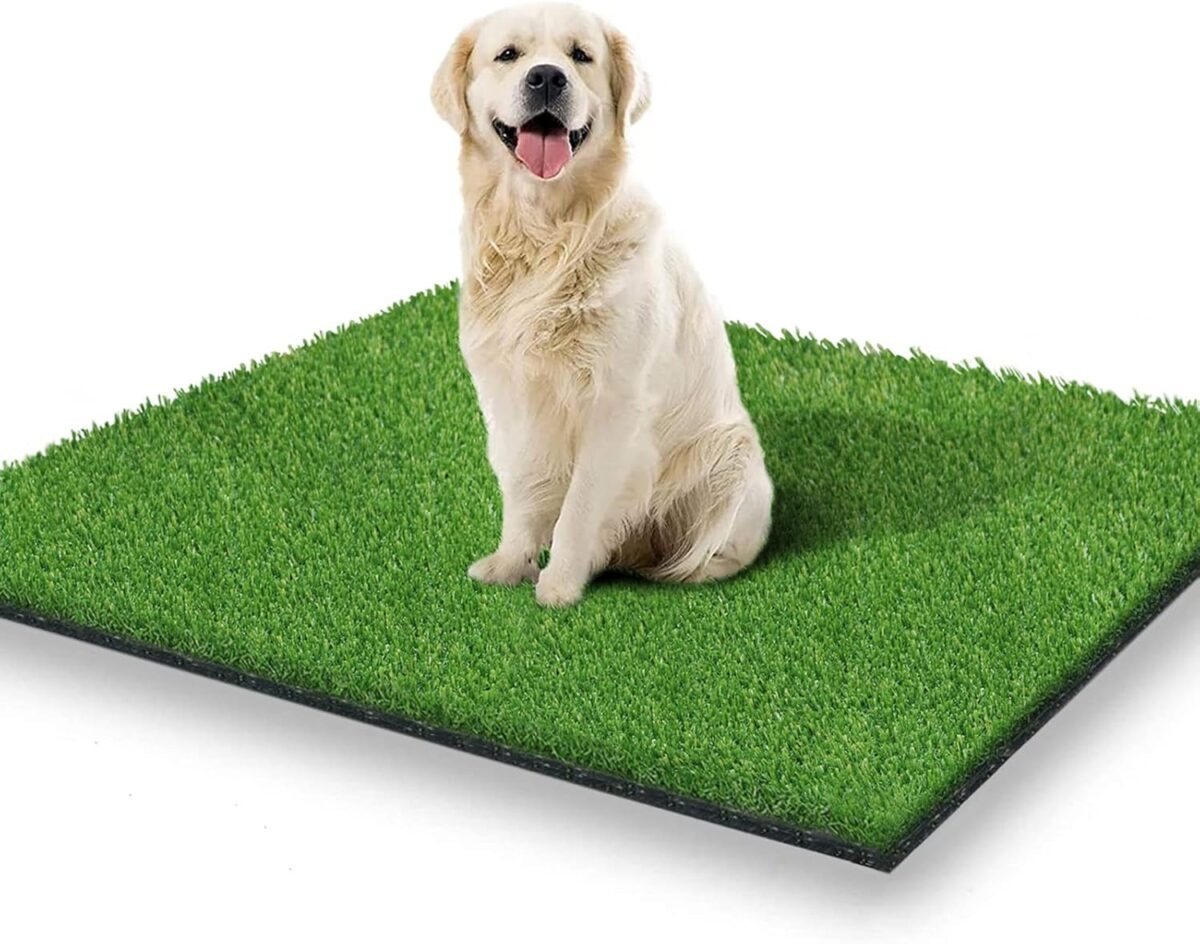 Artificial Grass For Dogs