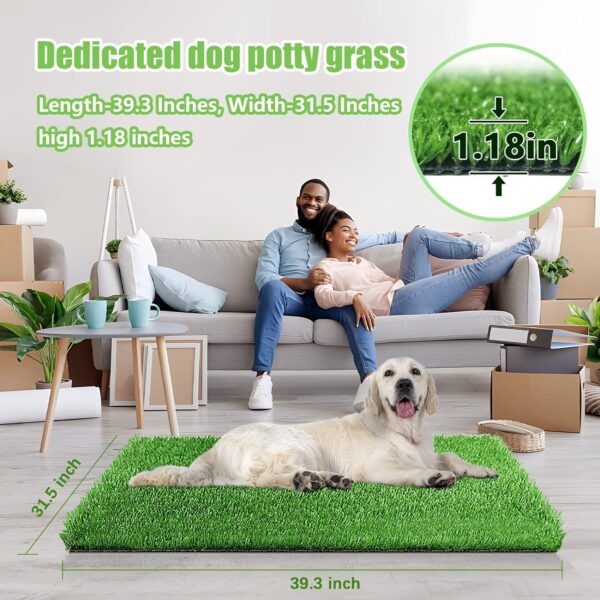 Artificial Grass For Dogs