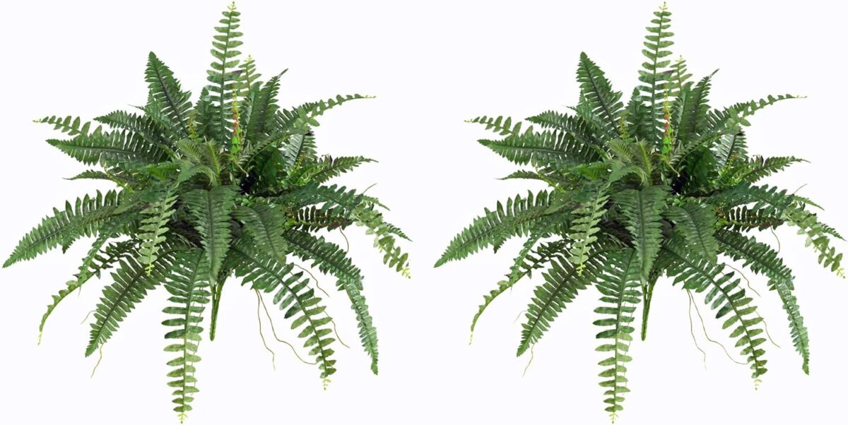 artificial fern plants