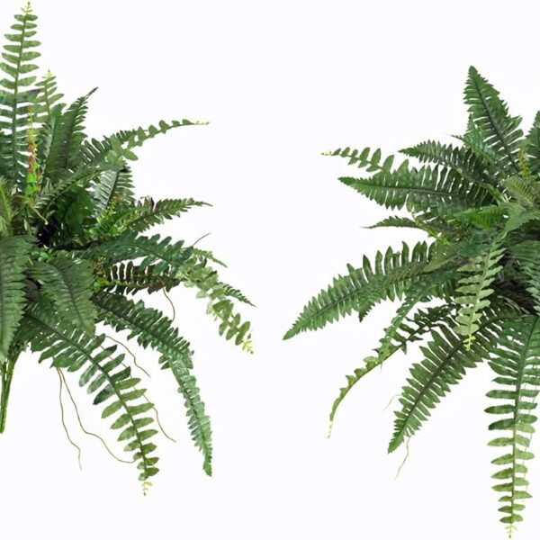 artificial fern plants