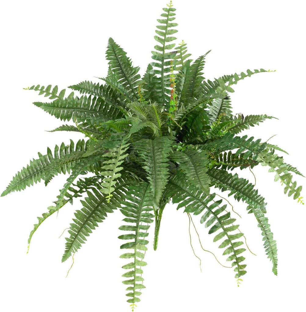 artificial fern plants