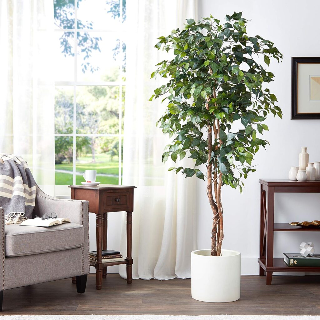 Ficus Fake Tree