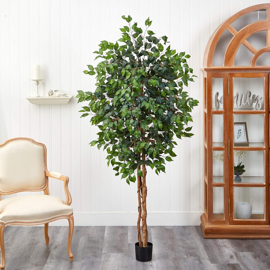 Ficus Fake Tree