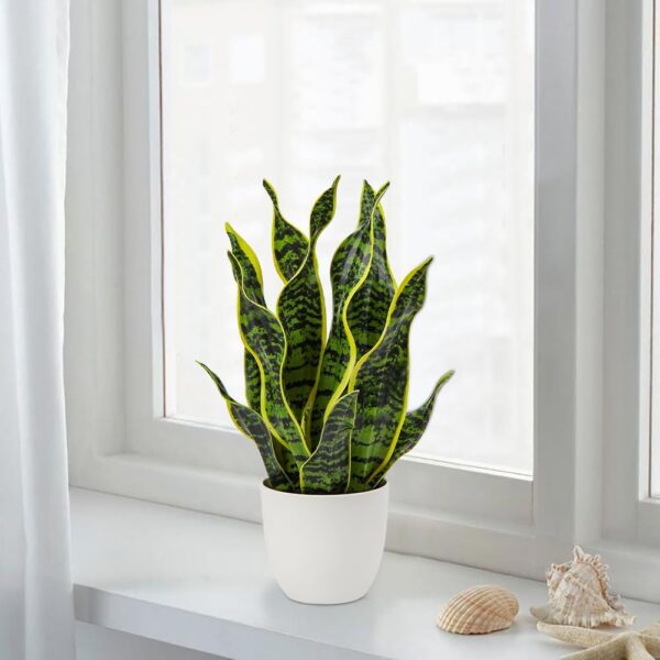 Artificial Snake Plant