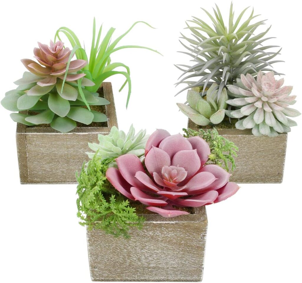 artificial succulents plants