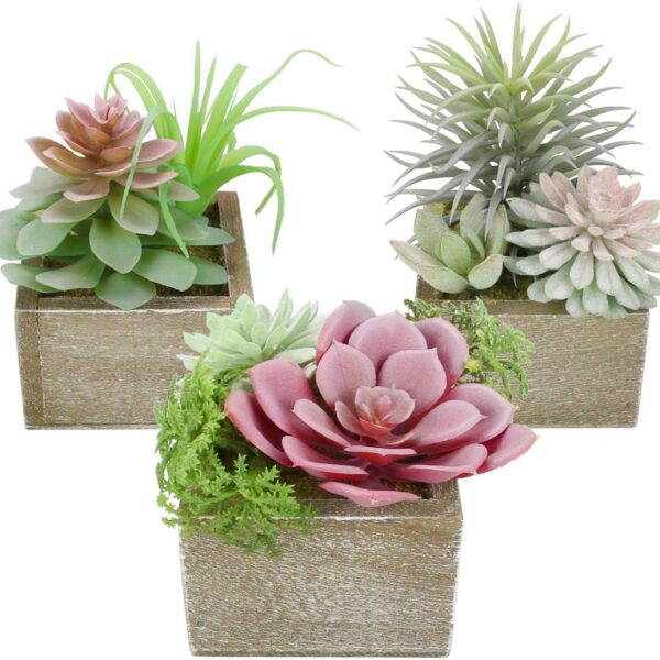 artificial succulents plants