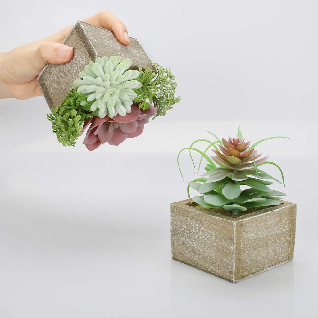 artificial succulents plants