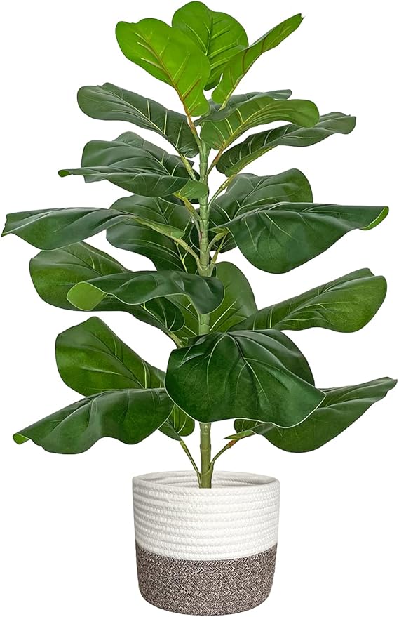 fake fiddle leaf fig tree