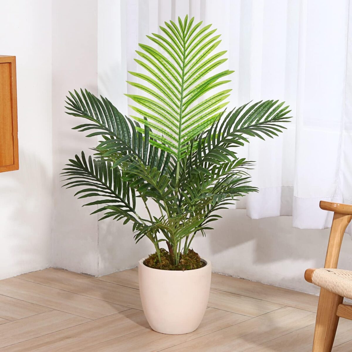 Fake Palm Plant