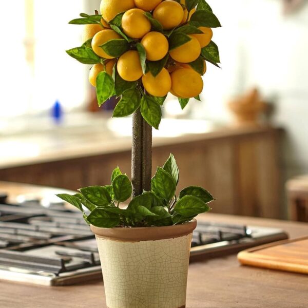 Decorative Lemons