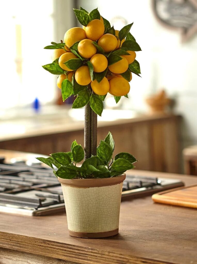 Decorative Lemons