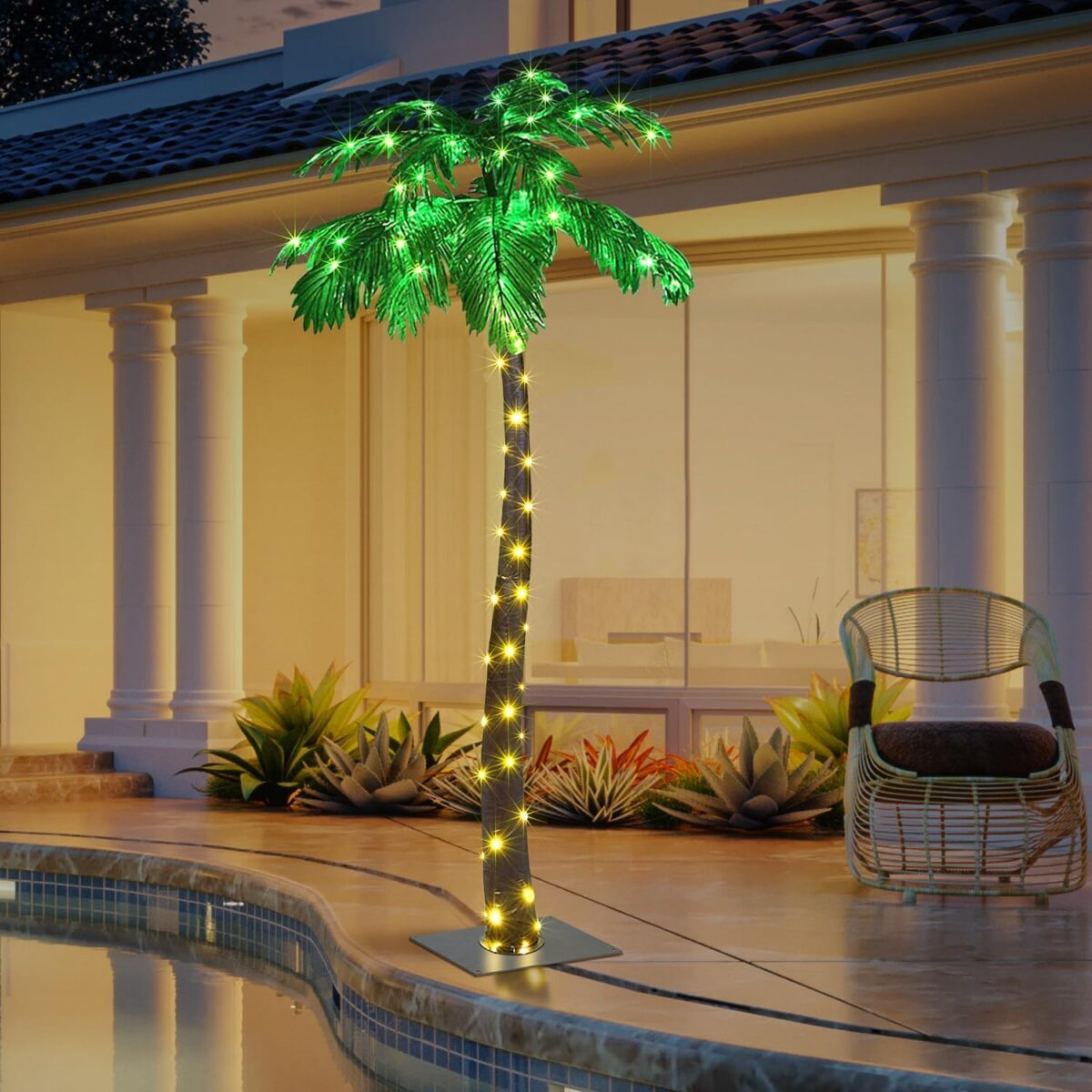 Palm Tree With Lights