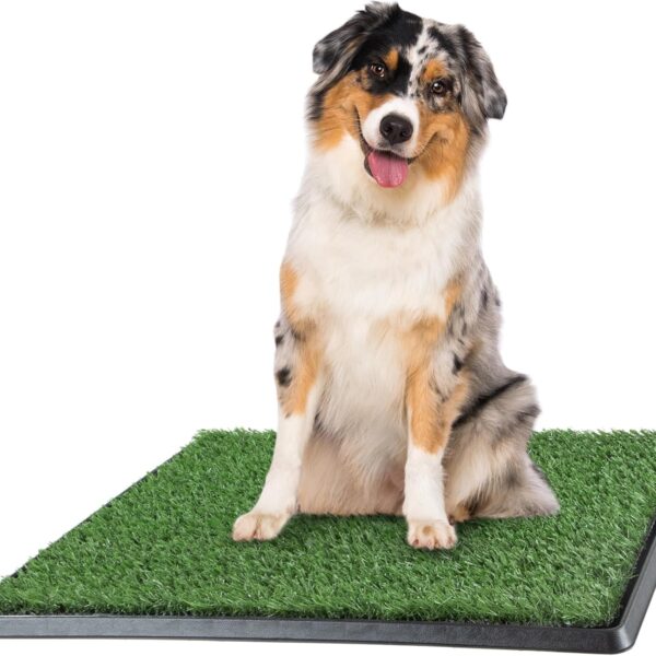 Dog Pee Grass Pad