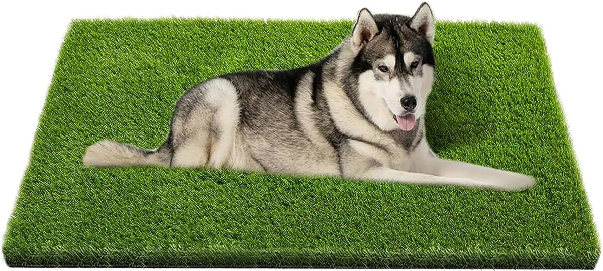 Artificial Grass Cost