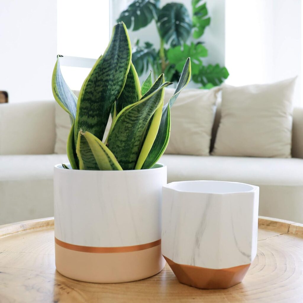 Artificial Plants With Pots