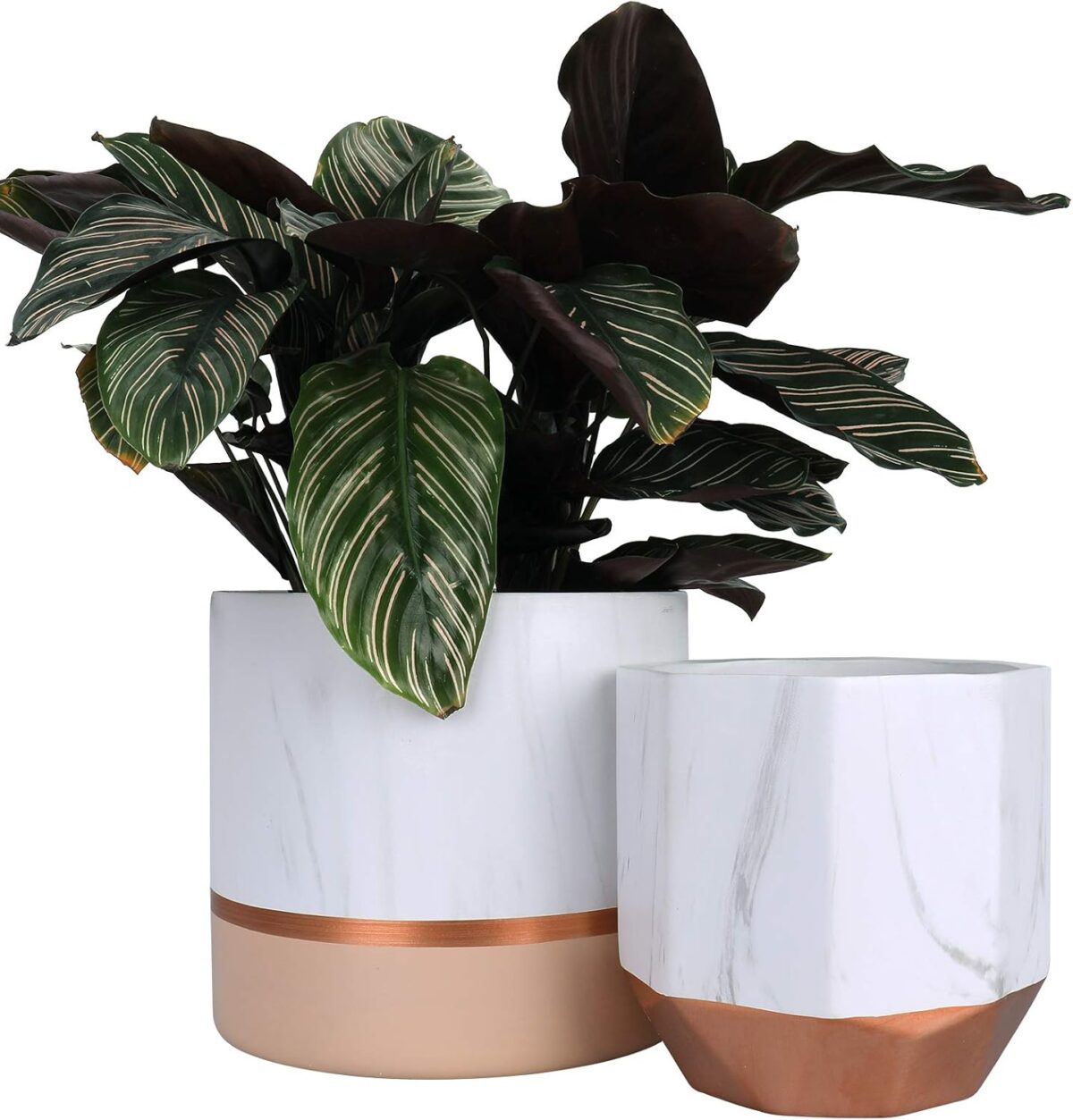 Artificial Plants With Pots