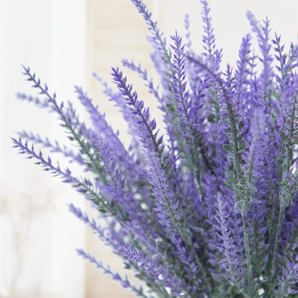 Lavender Flowers