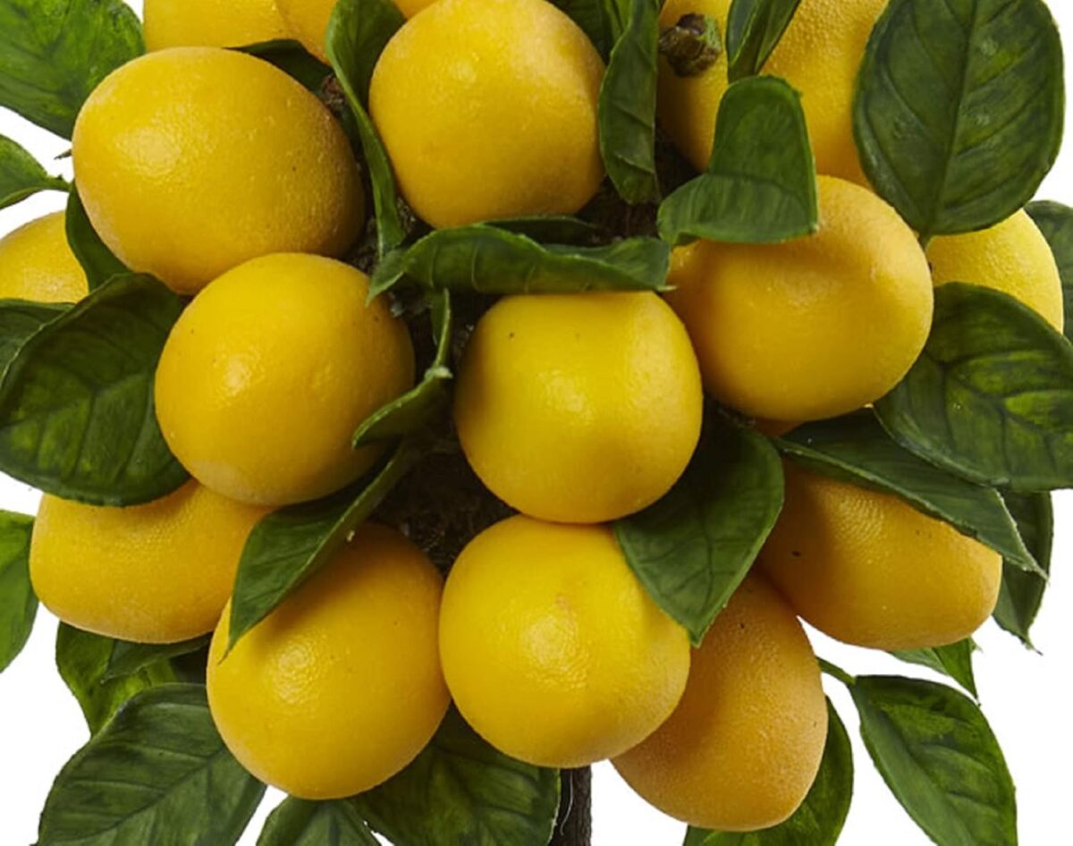 Decorative Lemons