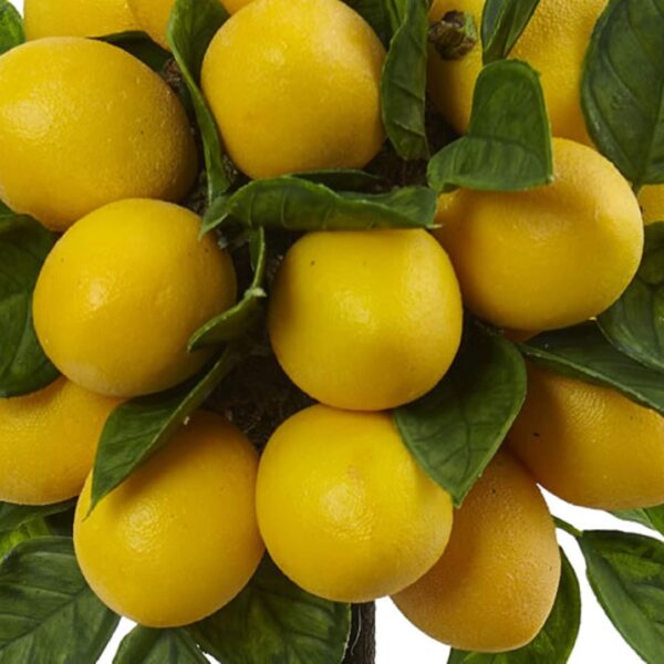 Decorative Lemons