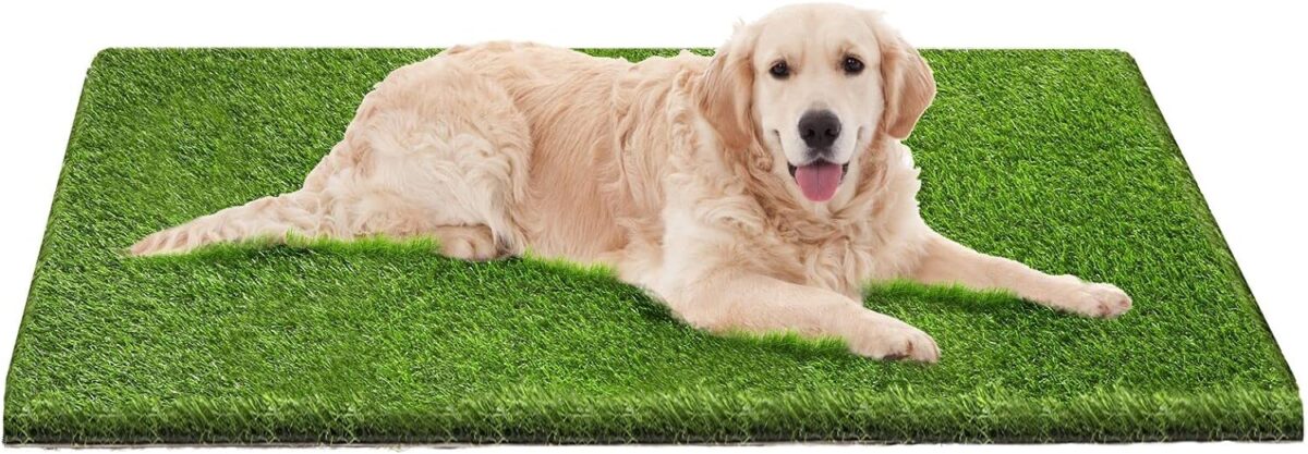 Dog Grass Pad