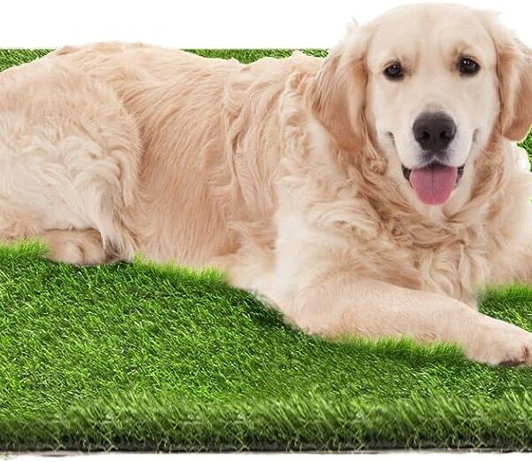 Dog Grass Pad